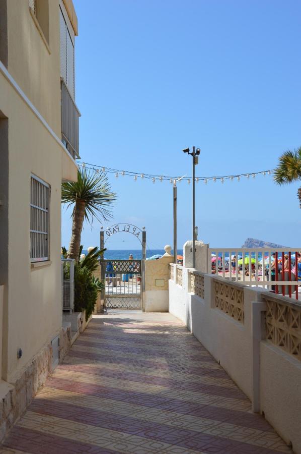 El Pato Primera Linea Benidorm Dış mekan fotoğraf