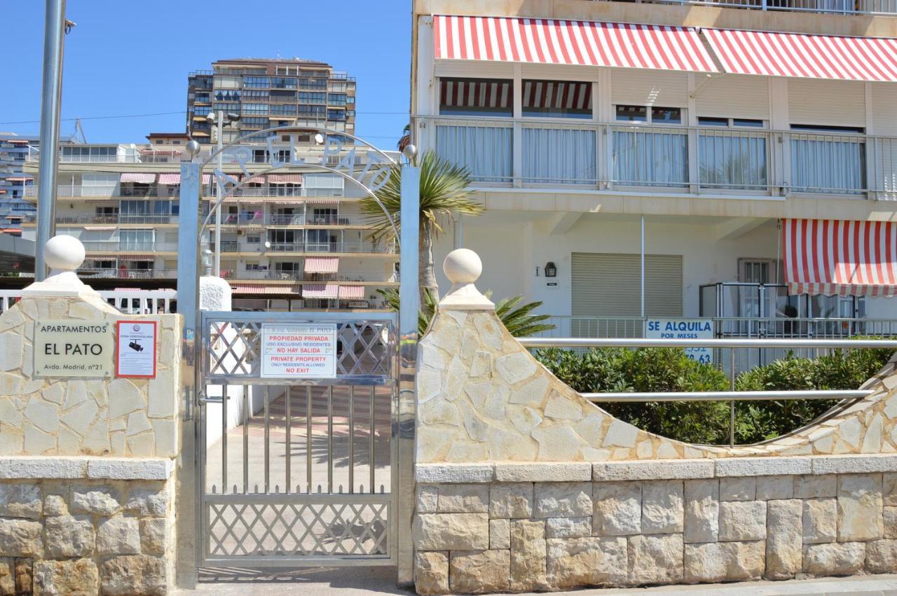 El Pato Primera Linea Benidorm Dış mekan fotoğraf